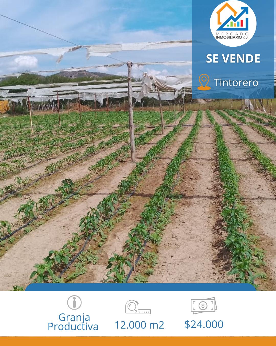Villa familiar con terraza — foto 2